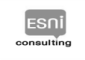 Esni Consulting